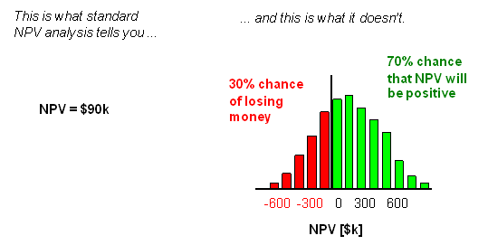 What standard NPV doesn't tell you